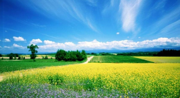 身份证查手机号码 拿别人的身份证可以查到手机号码吗? 身份证查手机号码 拿别人的身份证可以查到手机号码吗?